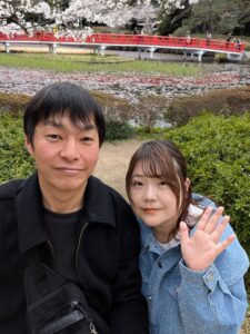 岩槻城址公園の満開の桜と赤い橋の風景