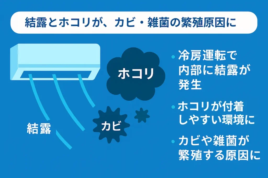 冷房運転で発生する結露とホコリがカビや雑菌の繁殖原因になることを示す図解｜店舗・施設エアコン向け
